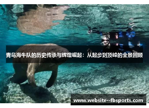 青岛海牛队的历史传承与辉煌崛起:从起步到顶峰的全景回顾 青岛海牛队的历史传承与辉煌崛起:从起步到顶峰的全景回顾