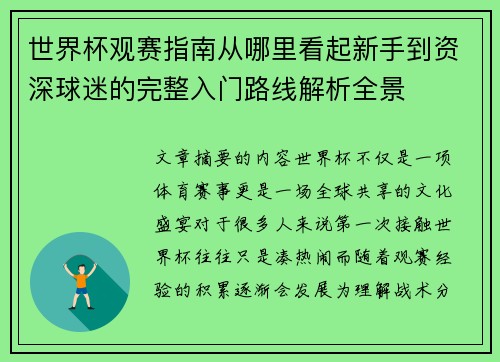 世界杯观赛指南从哪里看起新手到资深球迷的完整入门路线解析全景